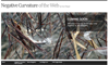 negative curvature of theweb